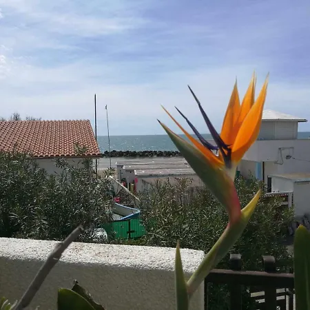 Fronte Mare 7 Posti Letto Appartamento *